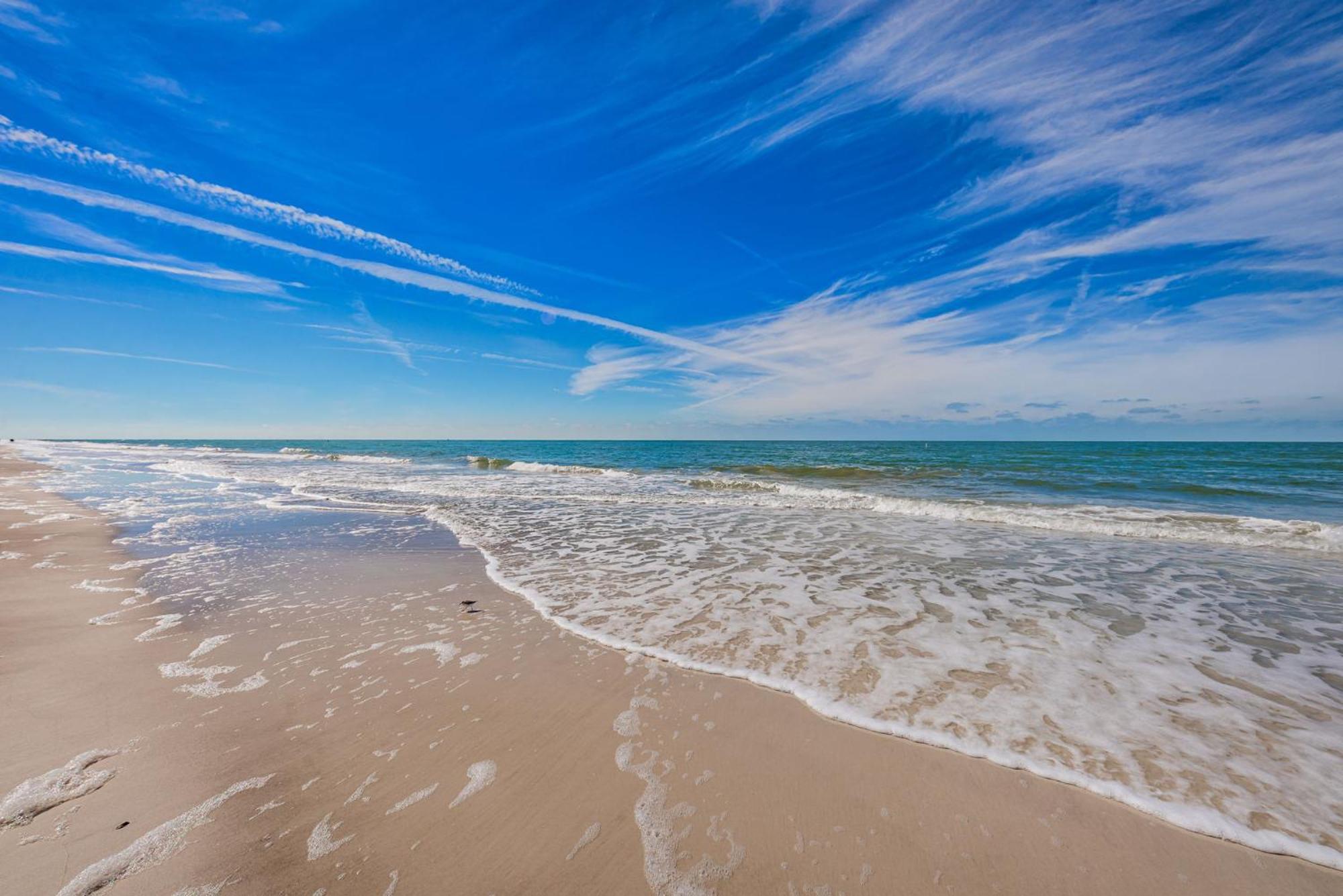 Intercoastal Beach Suite Clearwater Dış mekan fotoğraf