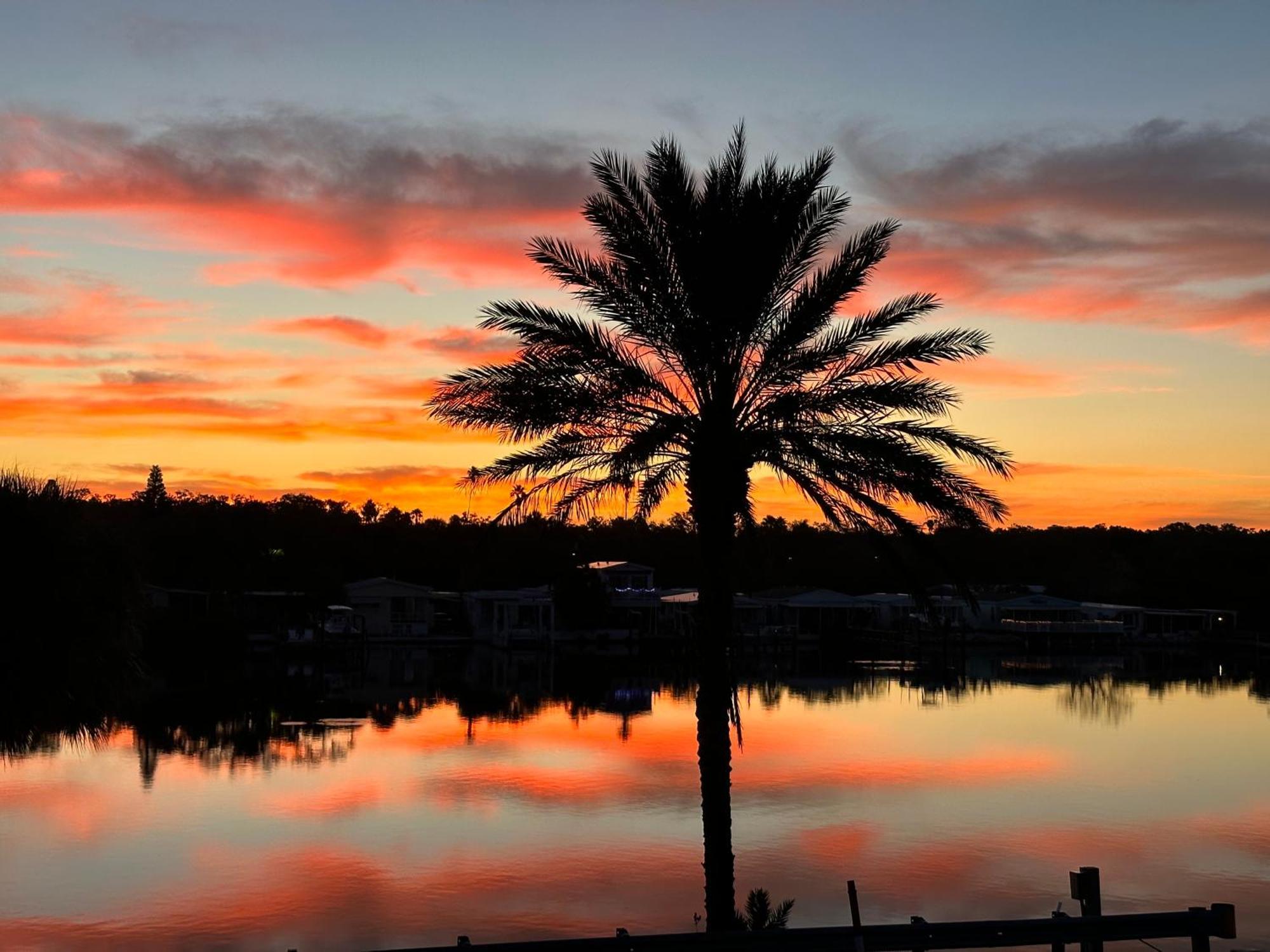 Intercoastal Beach Suite Clearwater Dış mekan fotoğraf