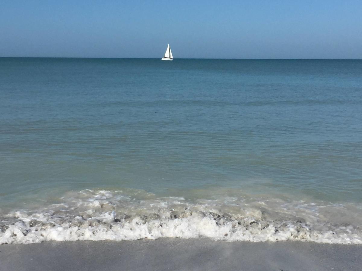 Intercoastal Beach Suite Clearwater Dış mekan fotoğraf